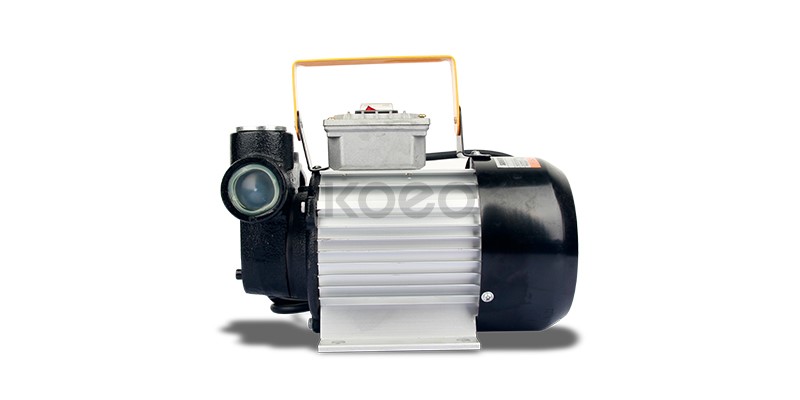 Petroleum Dispensing Sliding Vane Pumps Supplier –   220V Fuel Dispenser Pump – KOEO