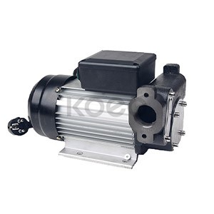 110V/220V AC Diesel Pump
